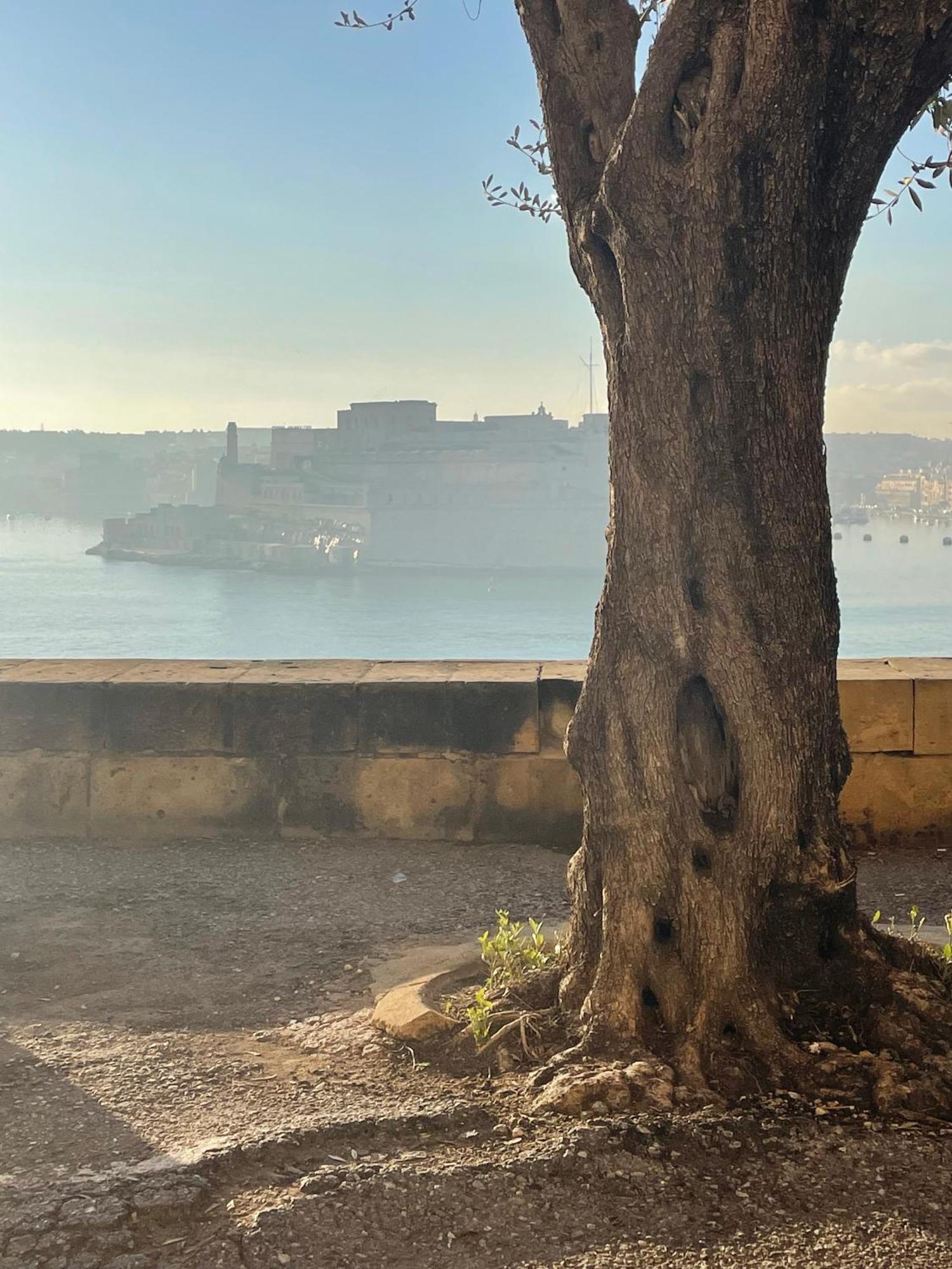 Prestigious Pied A Terre Wignacourt With Views Apartment Valletta Bagian luar foto